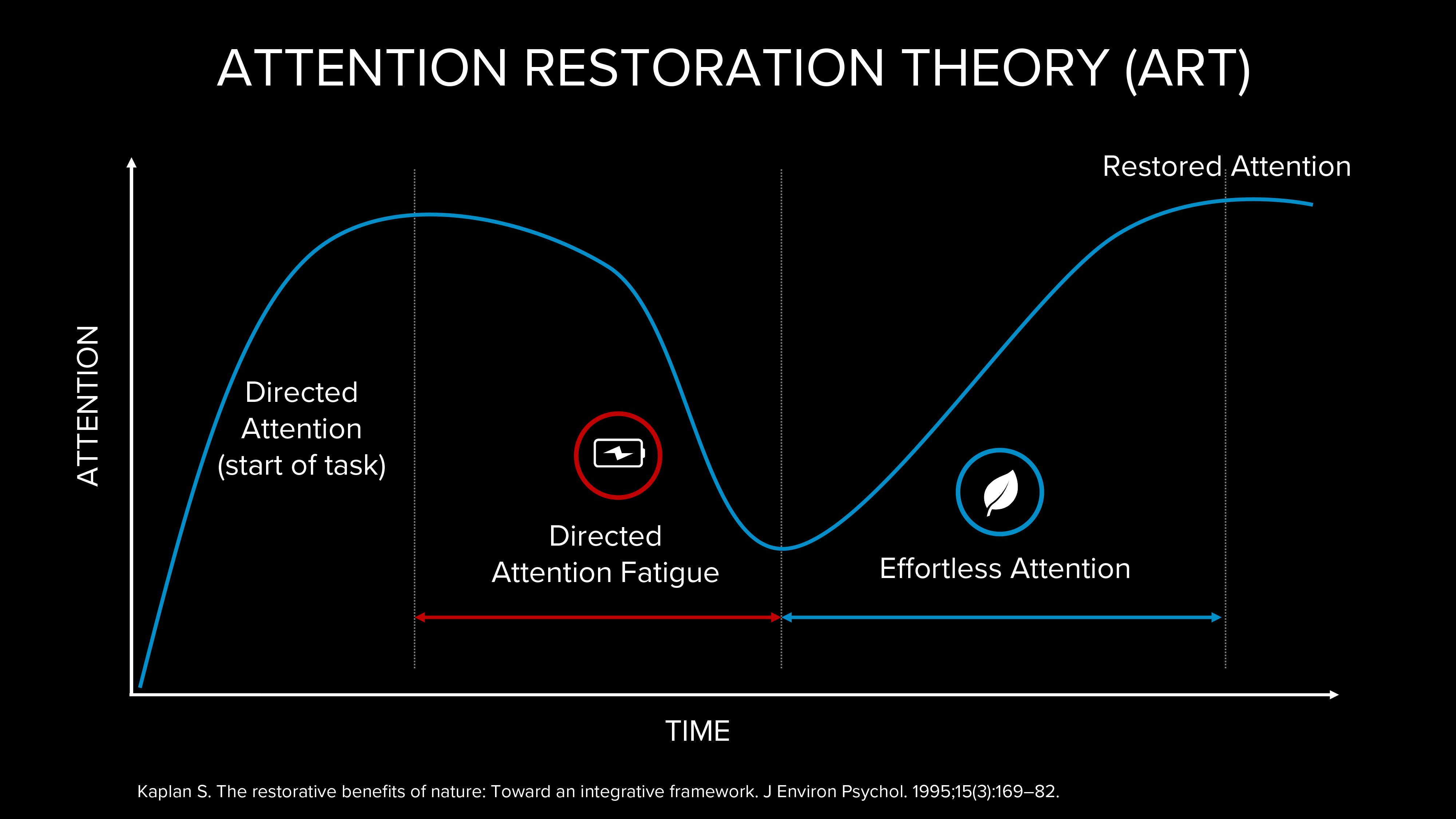 attention restoration therapy