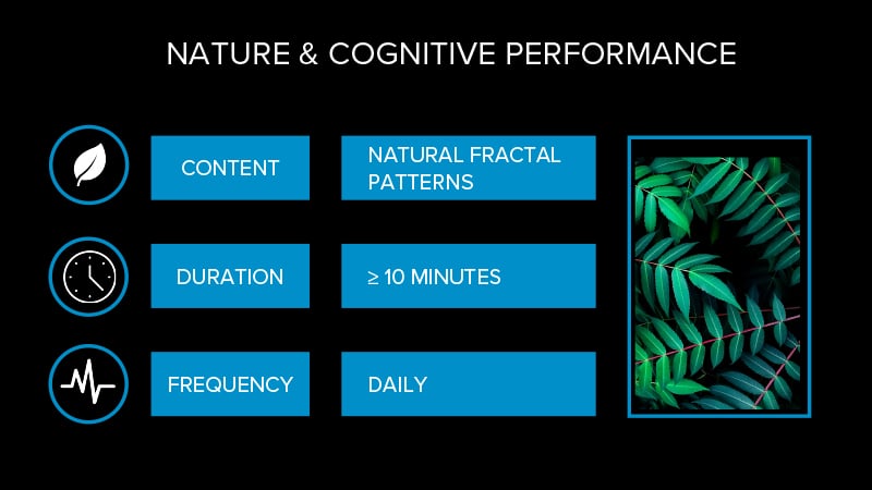 Nature cognitive performance